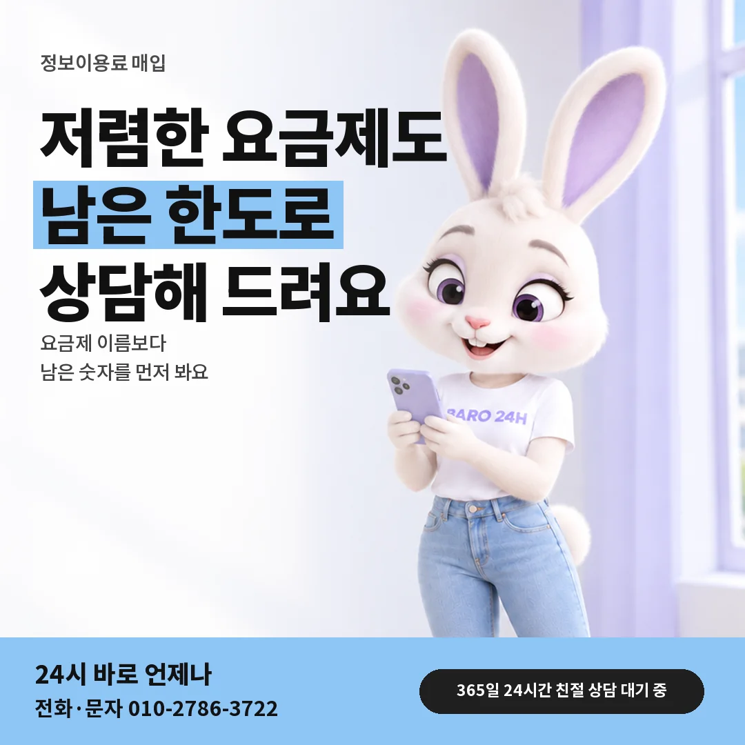 휴대폰을 보며 웃는 BARO 24H 티셔츠를 입은 3D 토끼 캐릭터 옆에 「정보이용료 매입 문답」 제목을 얹은 안내 카드